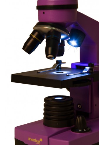 Iluminación Superior e Inferior por LED para Observar Toda Clase de Muestras Microscopio Escolar Levenhuk Rainbow 2L Amethyst/Amatista para Niños con Kit de Experimentos 